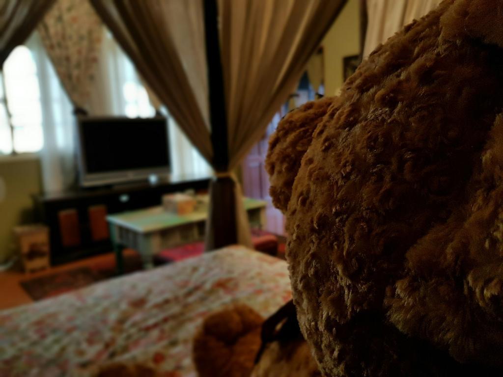 Bearbear Homestay Hualien Exterior foto