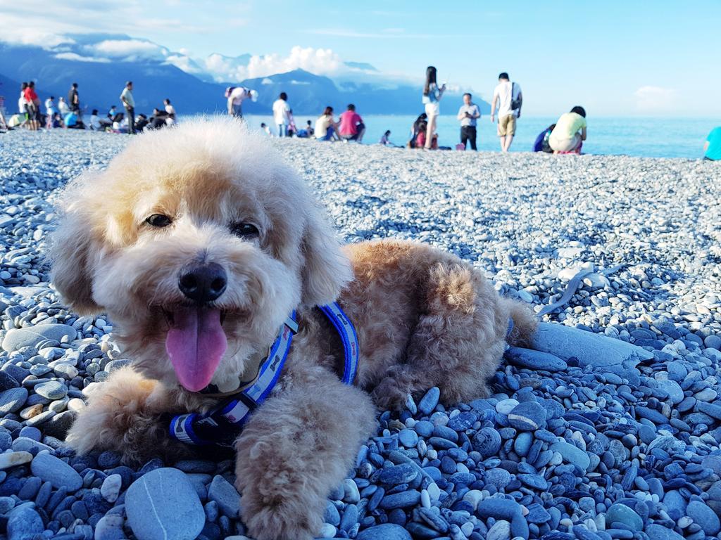 Bearbear Homestay Hualien Exterior foto